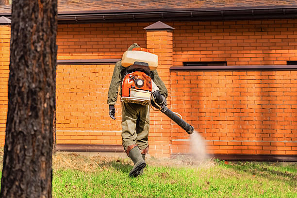 Trusted Termite Control service in Shelby, OH - Nex Pest Control
